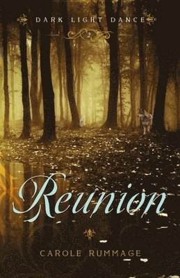 bokomslag Reunion (Dark Light Dance Book 2)