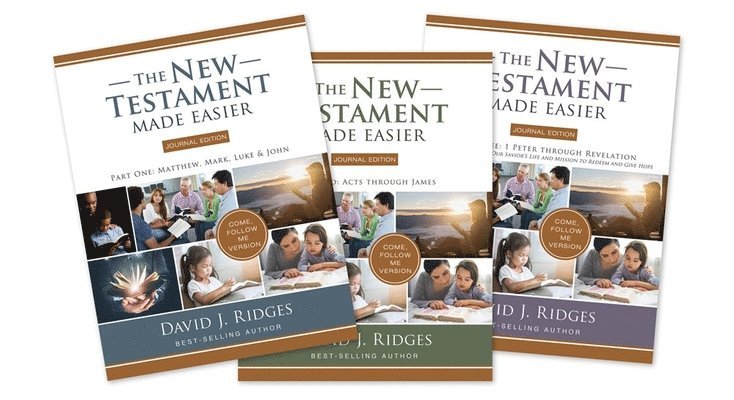New Testament Made Easier Journal Edition 1