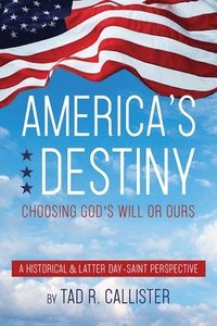 bokomslag America's Destiny
