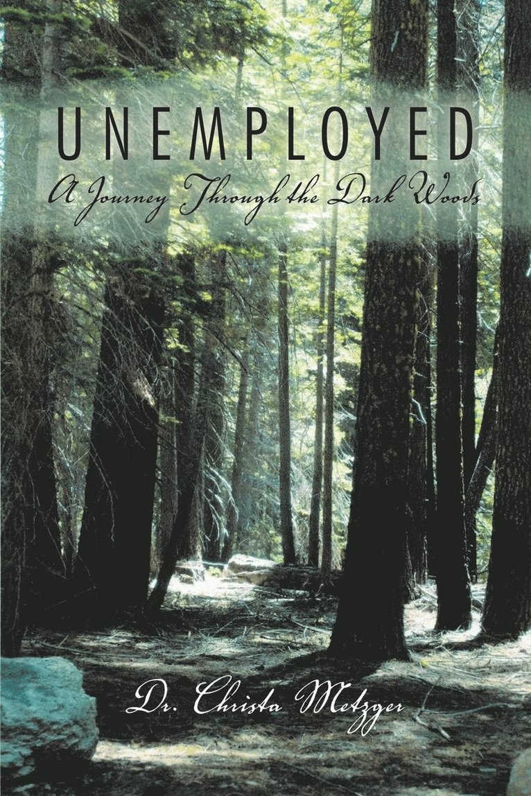 Christa Metzger - Unemployed, Häftad