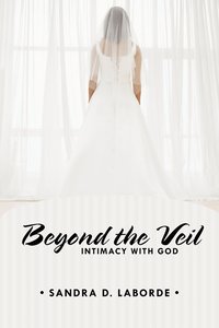 bokomslag Beyond the Veil