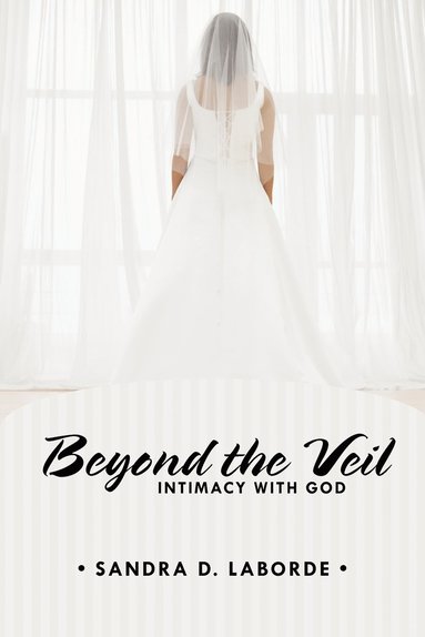 bokomslag Beyond the Veil