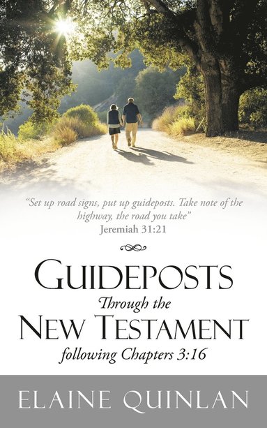 bokomslag Guideposts Through the New Testament Following Chapters 3