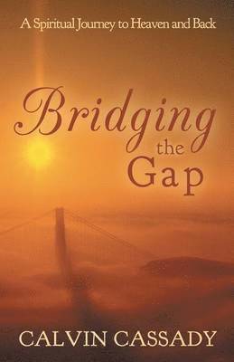 Bridging the Gap 1