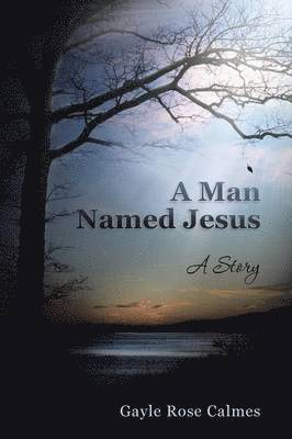 bokomslag Man Named Jesus