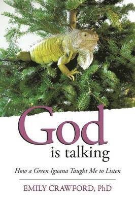 bokomslag God Is Talking