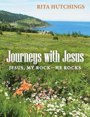 bokomslag Journeys with Jesus