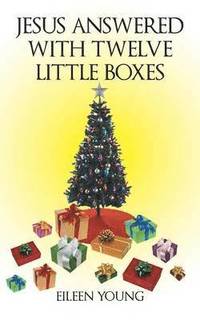 bokomslag Jesus Answered with Twelve Little Boxes