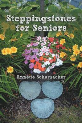bokomslag Steppingstones for Seniors