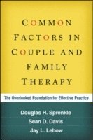 bokomslag Common Factors in Couple and Family Therapy