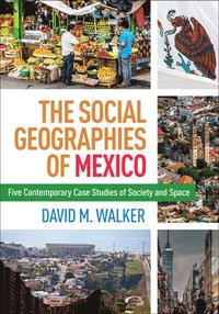 bokomslag The Social Geographies of Mexico: Five Contemporary Case Studies of Society and Space