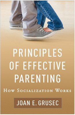 bokomslag Principles of Effective Parenting