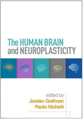 Human Brain and Neuroplasticity