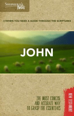 Shepherd's Notes: John 1