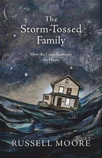 bokomslag The Storm-Tossed Family