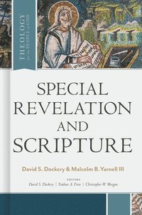 bokomslag Special Revelation And Scripture