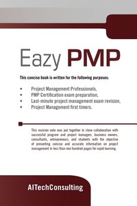 bokomslag Eazy PMP