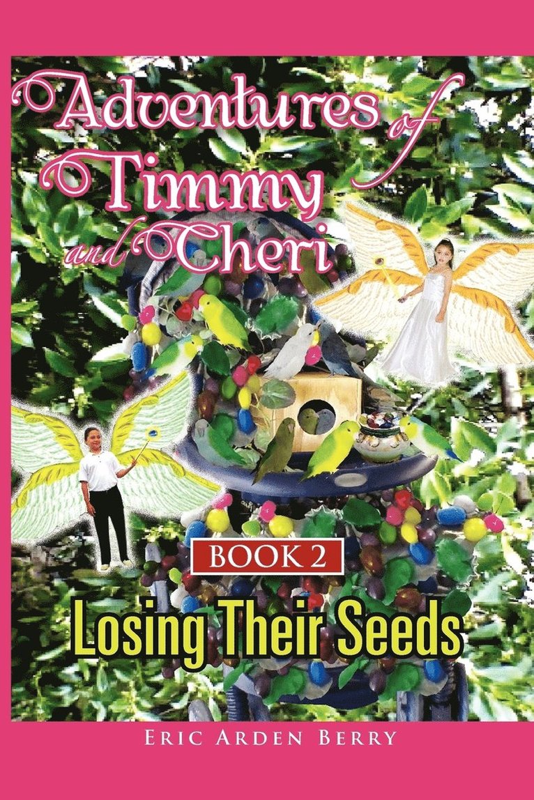 Adventures of Timmy and Cheri 1