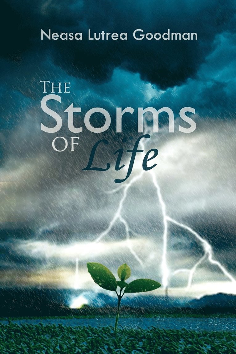 The Storms of Life 1