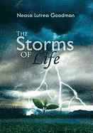 bokomslag The Storms of Life