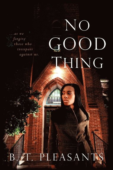 bokomslag No Good Thing