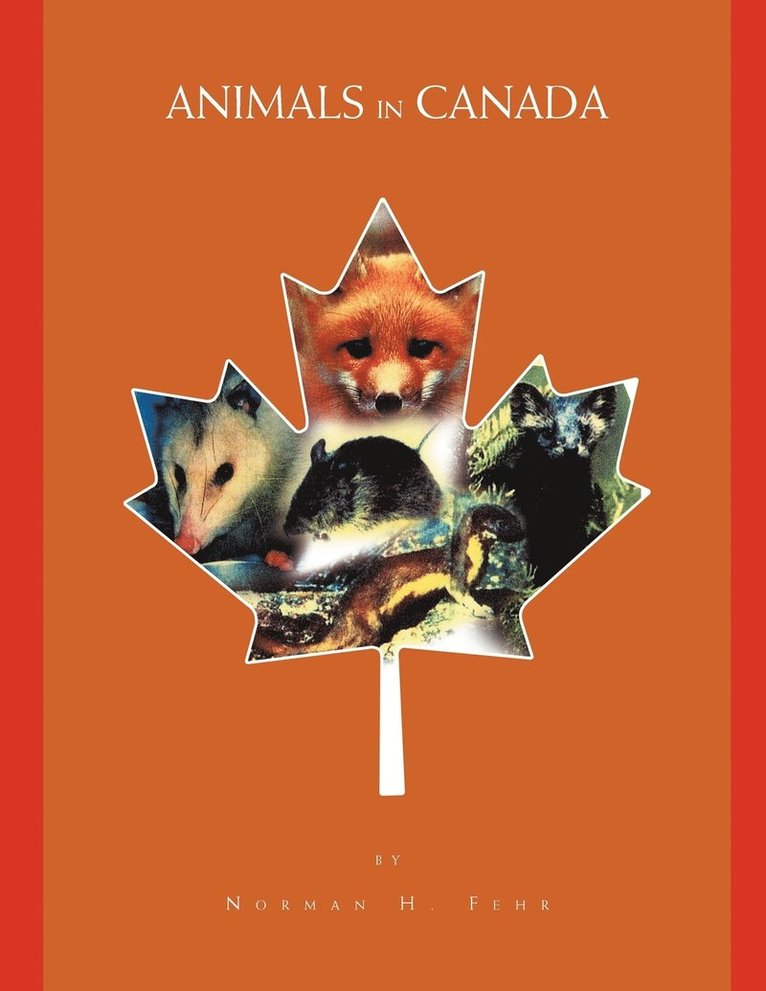 Animals in Canada 1