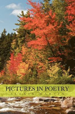 Alexis Martin - Pictures in Poetry, Häftad
