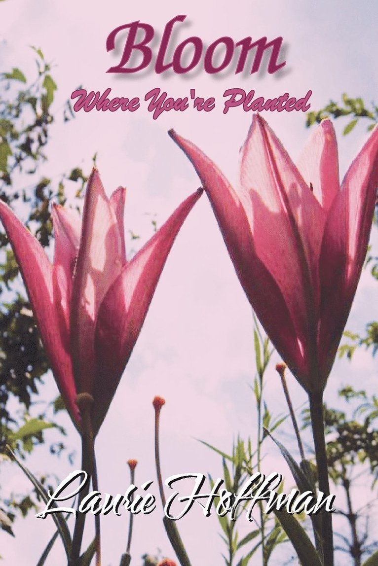 Laurie Hoffman - Bloom Where You're Planted, Häftad