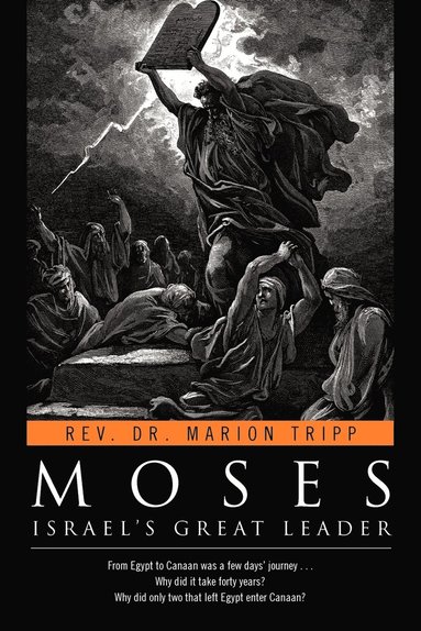 bokomslag Moses