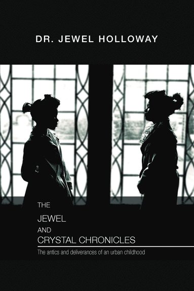 bokomslag Jewel and Crystal Chronicles