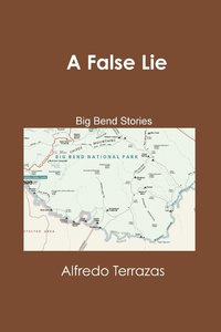 bokomslag A False Lie