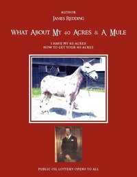 bokomslag What about My 40 Acres & a Mule