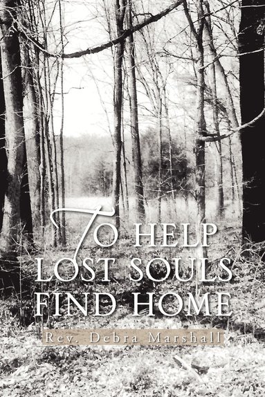 bokomslag To Help Lost Souls Find Home
