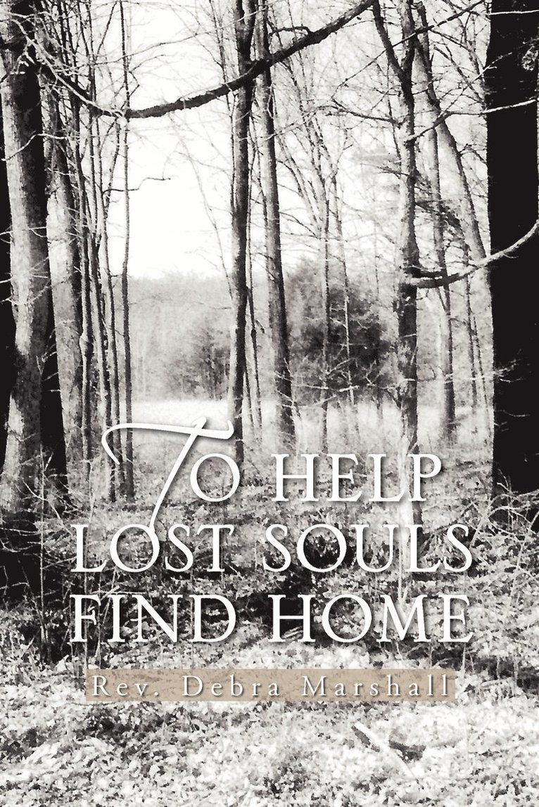 To Help Lost Souls Find Home 1