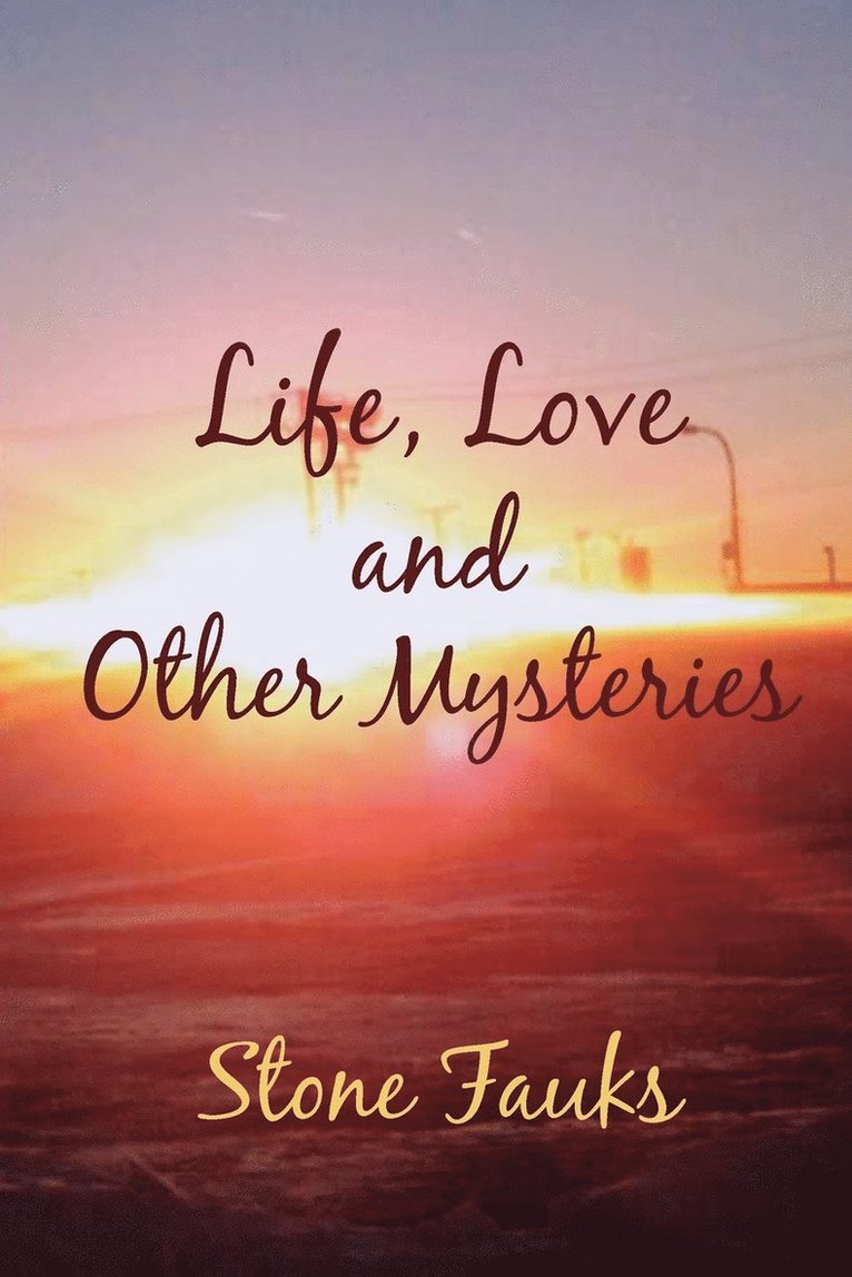 Life, Love and Other Mysteries 1