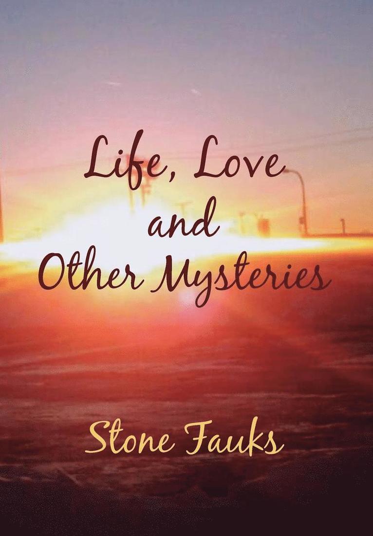 Life, Love and Other Mysteries 1