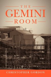 bokomslag The Gemini Room