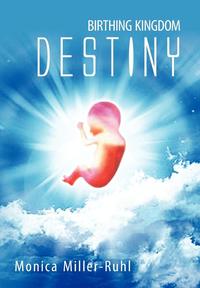 bokomslag Birthing Kingdom Destiny