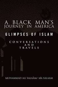 bokomslag A Black Man's Journey in America