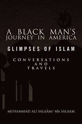 A Black Man's Journey in America 1