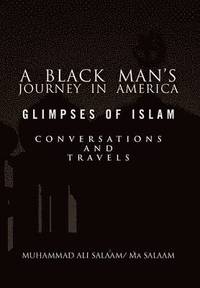 bokomslag A Black Man's Journey in America