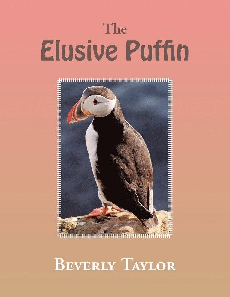 The Elusive Puffin 1