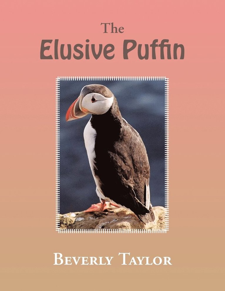Beverly Taylor - Elusive Puffin, Häftad