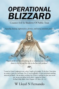 bokomslag Operational Blizzard