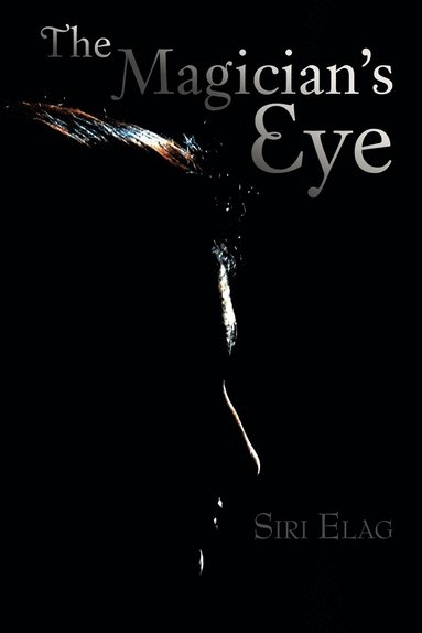 bokomslag Magician's Eye