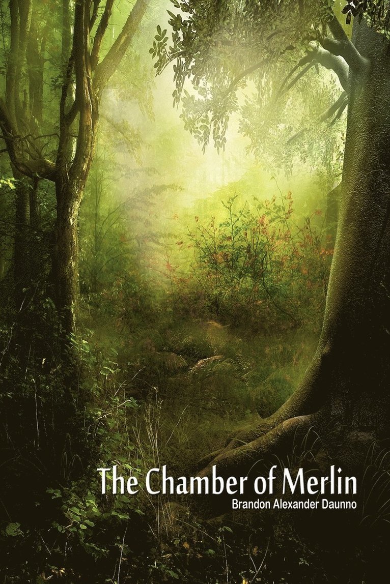 Brandon Alexander Daunno - Chamber of Merlin, Häftad