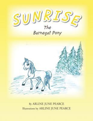 Sunrise the Barnegat Pony 1