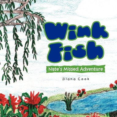 Diana Cook - Wink Fish, Häftad