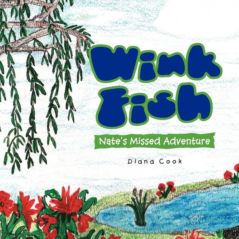 Diana Cook - Wink Fish, Häftad