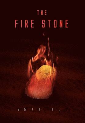 bokomslag The Fire Stone